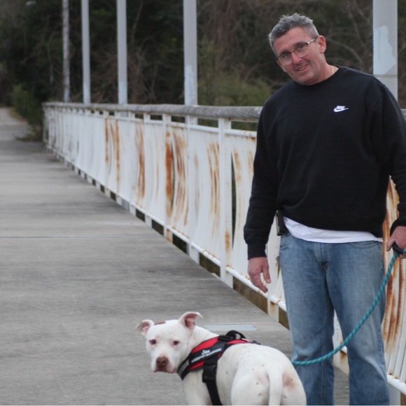 ✨READ ME! ✨ - Picture 7 of 11